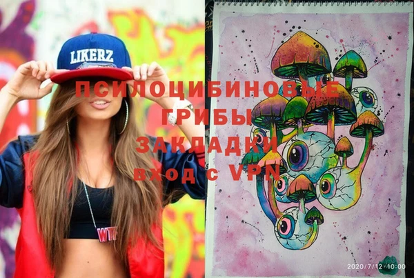 PSILOCYBIN Алексеевка