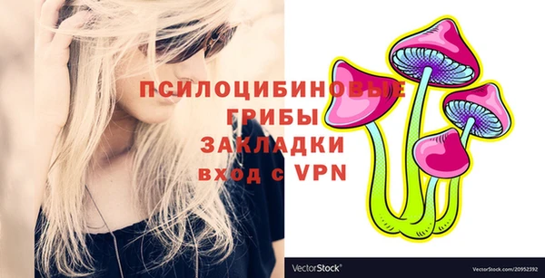 хмурый Абинск