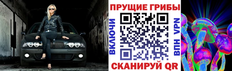 ОМГ ОМГ ТОР  Суджа  дарк нет формула  Псилоцибиновые грибы мицелий 